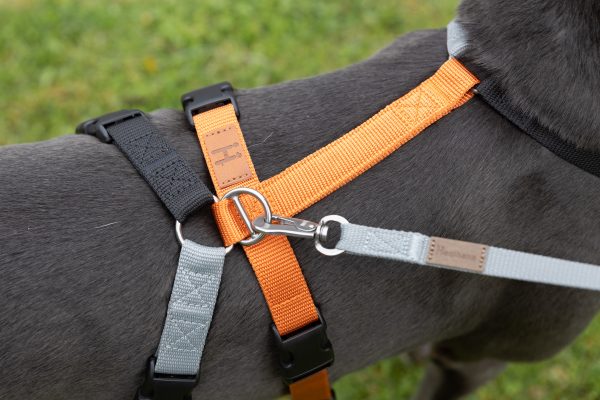 Gumtree Greys 2H Harness - Image 5