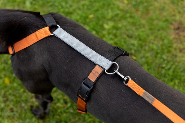 Gumtree Greys 2H Harness - Image 6