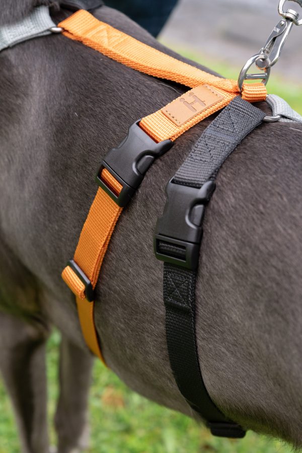 Gumtree Greys 2H Harness - Image 2